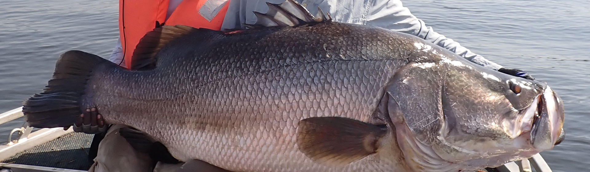 ナイルパーチ釣り